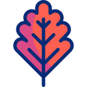 Leaf icon
