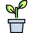 plantar 