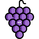 uvas icon