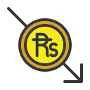 rupia icon