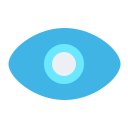 ojo icon