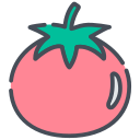 tomate icon