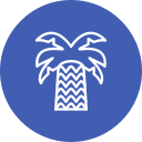 palmera icon