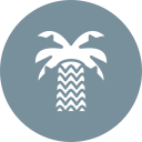 palmera icon