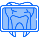 radiografía dental icon