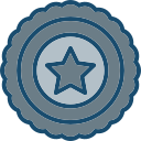 insignia icon