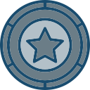 insignia icon