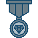 insignia icon