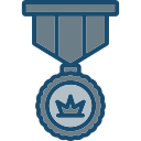 insignia icon