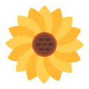 girasol icon