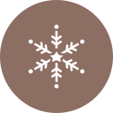 copo de nieve icon