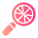 recherche 