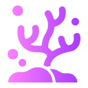 Коралл 