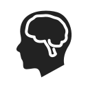 Brain 