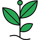 naturaleza icon