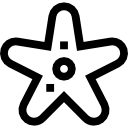 estrella de mar icon