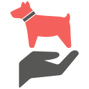 chien 