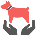 chien 