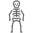 Bone 