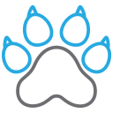 chien 