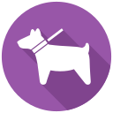 perro icon