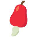 fruta icon