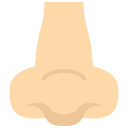 코 