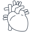 corazón icon