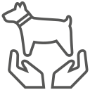 cachorro icon