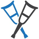 Walking stick 