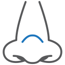 nez icon