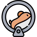 Rueda de hamster icon