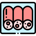 Salami icon