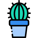 Cactus icon