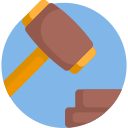 Auction 