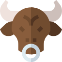 Toro icon