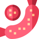 Salami icon