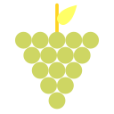 fruta icon