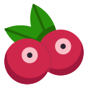 fruta icon