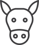 animal icon