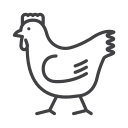 pollo icon