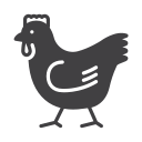 pollo icon