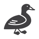 pájaro icon