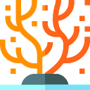 Coral icon