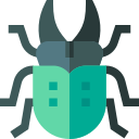 Cucaracha icon