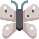 papillon 