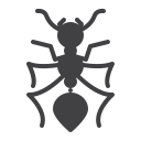 insectos icon