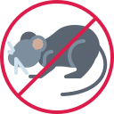 ratón icon