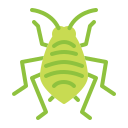 insecto icon