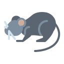 ratón icon